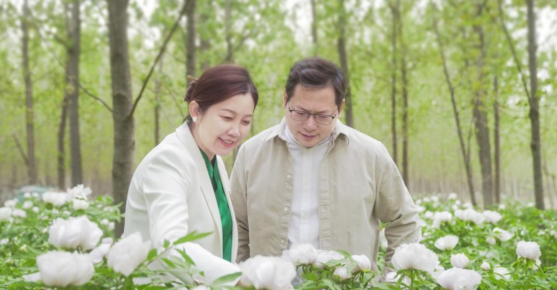 花皙蔻牡丹愈伤组织抗衰成果获国际权威认可，论文荣登《国际化妆品科学杂志》