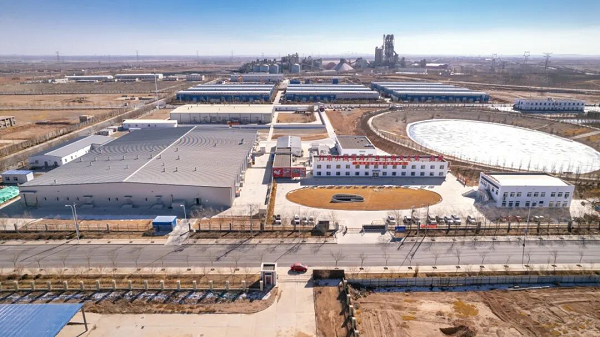 高价回收备案域名:从教书匠到行业标杆,魏晓明与晓鸣股份的30年产业坚守与创新插图6 从教书匠到行业标杆,魏晓明与晓鸣股份的30年产业坚守与创新