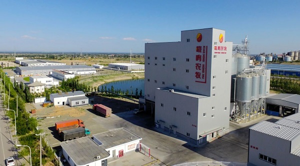 高价回收备案域名:从教书匠到行业标杆,魏晓明与晓鸣股份的30年产业坚守与创新插图1 从教书匠到行业标杆,魏晓明与晓鸣股份的30年产业坚守与创新