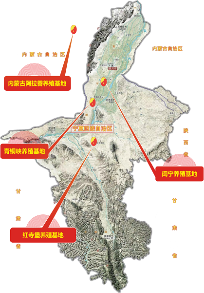 高价回收备案域名:从教书匠到行业标杆,魏晓明与晓鸣股份的30年产业坚守与创新插图2 从教书匠到行业标杆,魏晓明与晓鸣股份的30年产业坚守与创新