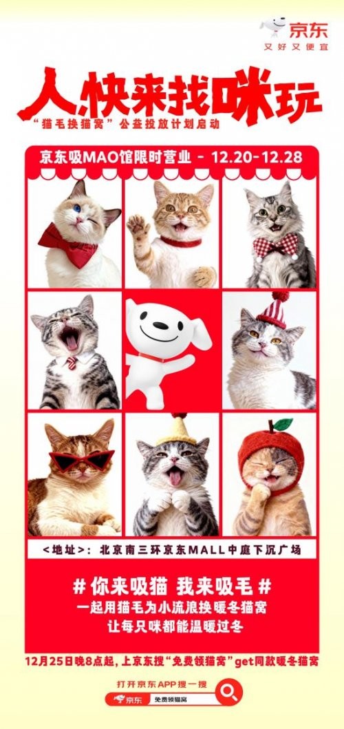 京东生活小家电启动“公益猫窝”计划 全国投放10000个温暖猫窝