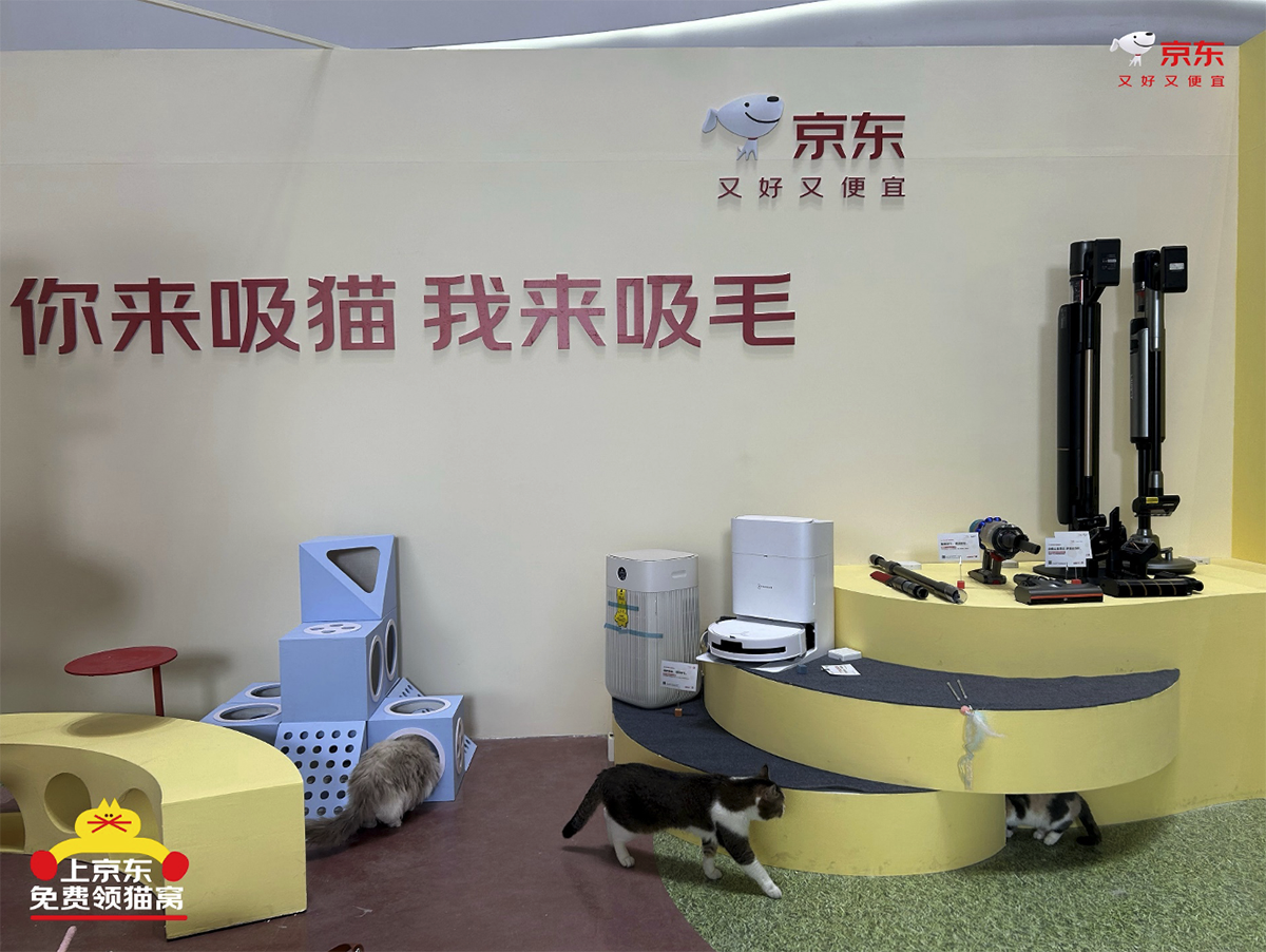 京东生活小家电启动“公益猫窝”计划 全国投放10000个温暖猫窝