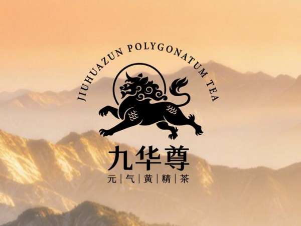 1768988310374792.jpg 九华尊黄精茶启新篇:千年黄精焕新机,产业蓝图绘未来