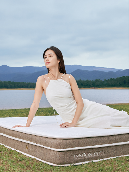 高价回收备案域名:林芃床垫入选小红书种草直达精选案例,以中国睡感破局大促转化难题插图2 林芃床垫入选小红书种草直达精选案例,以中国睡感破局大促转化难题