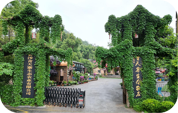 长沙团建终极指南：17年标杆青天寨拆解6大核心需求， 70万游客首选的五星农庄