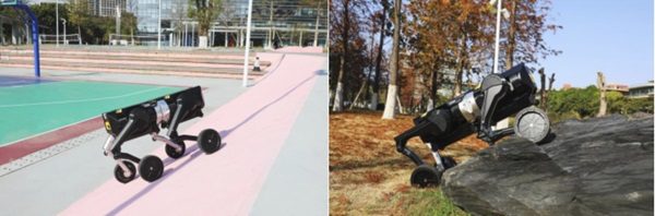 高价回收备案域名:山东省机器人春晚我们来了!本末科技D1登场,模块化+群控技术解锁极致灵活插图2 山东省机器人春晚我们来了!本末科技D1登场,模块化+群控技术解锁极致灵活