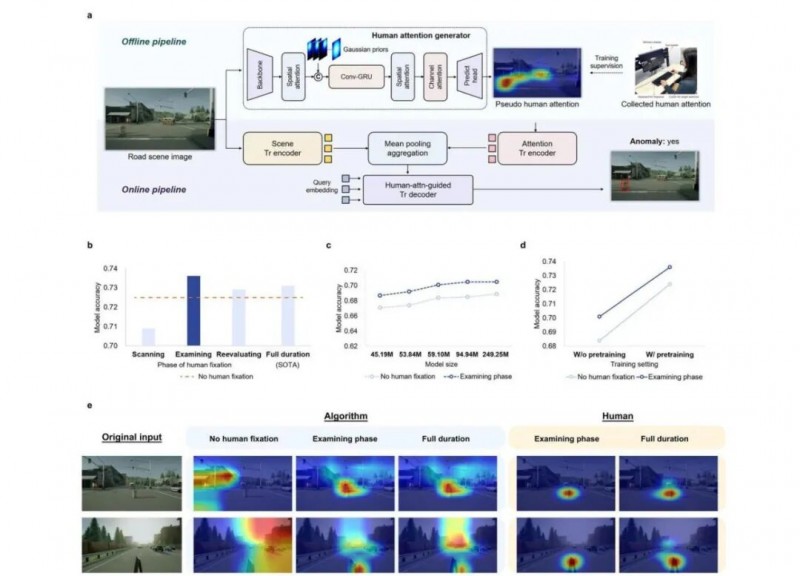 【Nature系列】以眼动数据揭示人类与智驾算法视觉注意力的本质差异