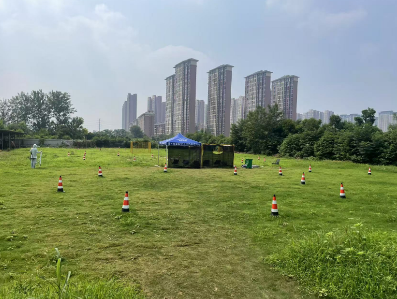 政策赋能低空经济，筋斗云翼领航无人机人才培育新赛道